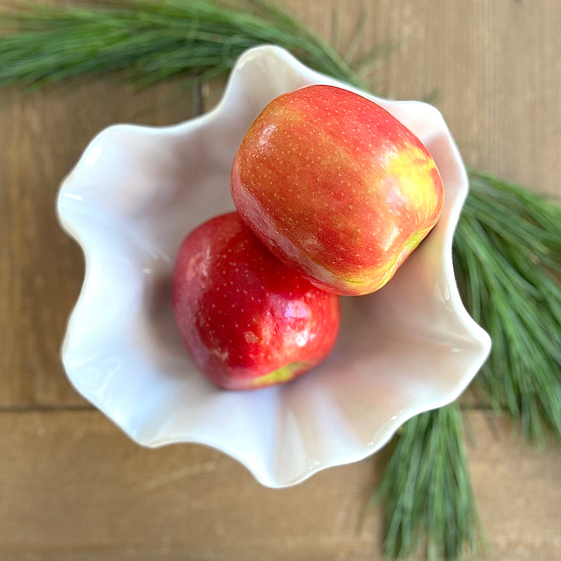 Vida White Melamine Small Bloom Bowl by Beatriz Ball