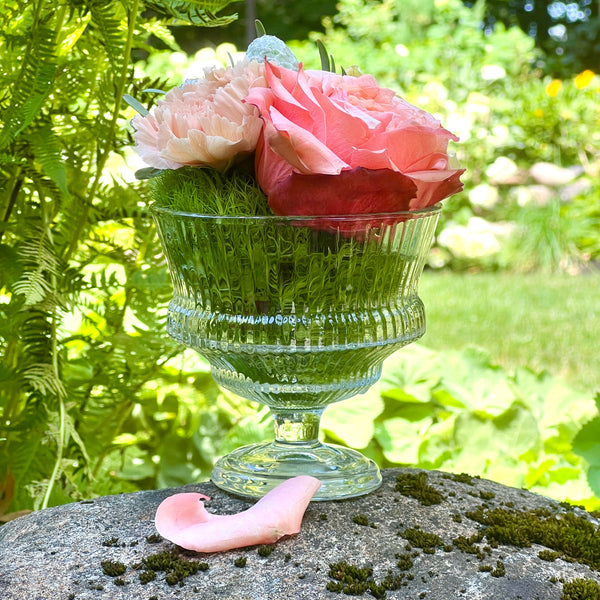 Pedestal Coupe Glass Bowls by Bomshbee, 3 styles