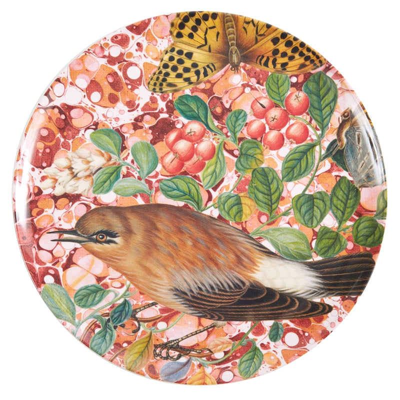 Flora and Fauna Bird Studies Dinner Plates set of 4