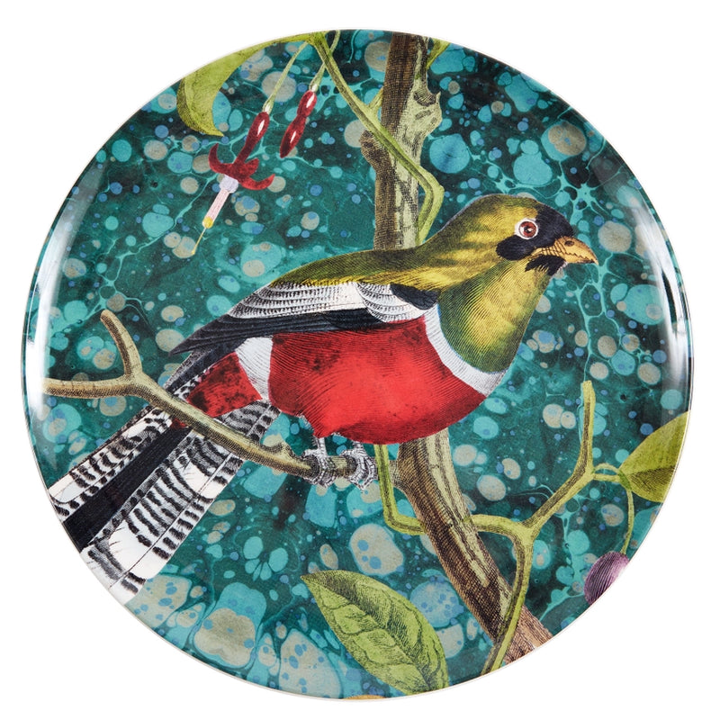 Flora and Fauna Bird Studies Dinner Plates set of 4