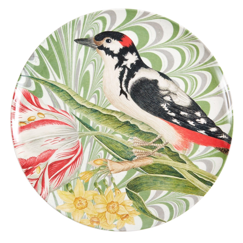 Flora and Fauna Bird Studies Dinner Plates set of 4