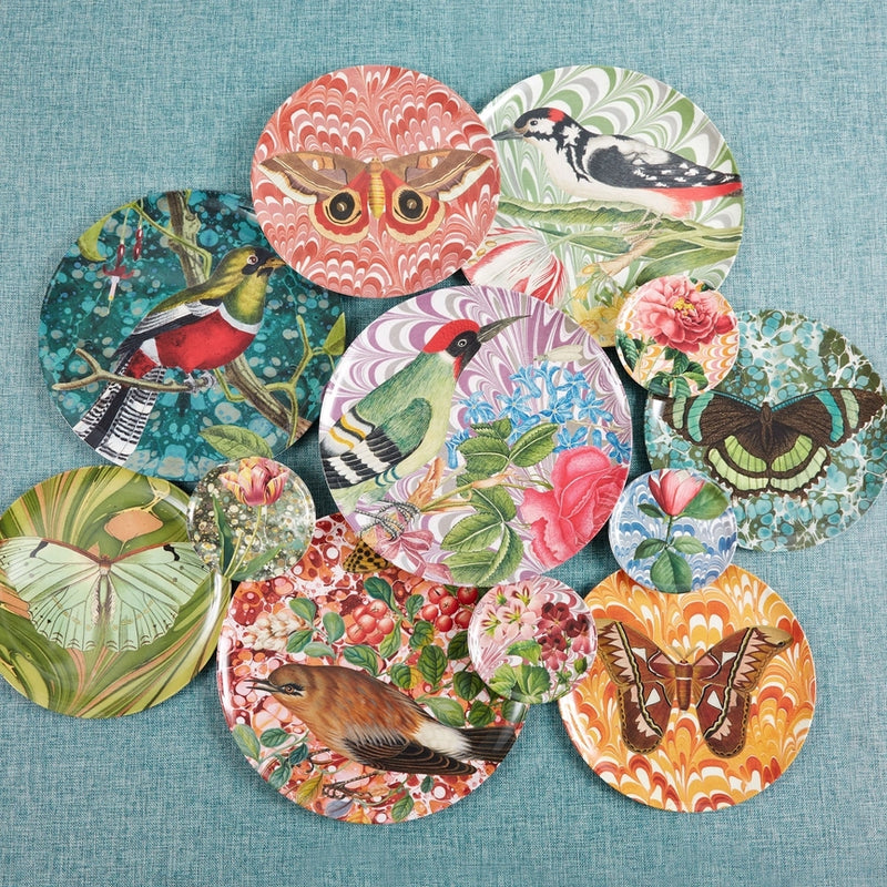 Flora and Fauna Bird Studies Dinner Plates set of 4