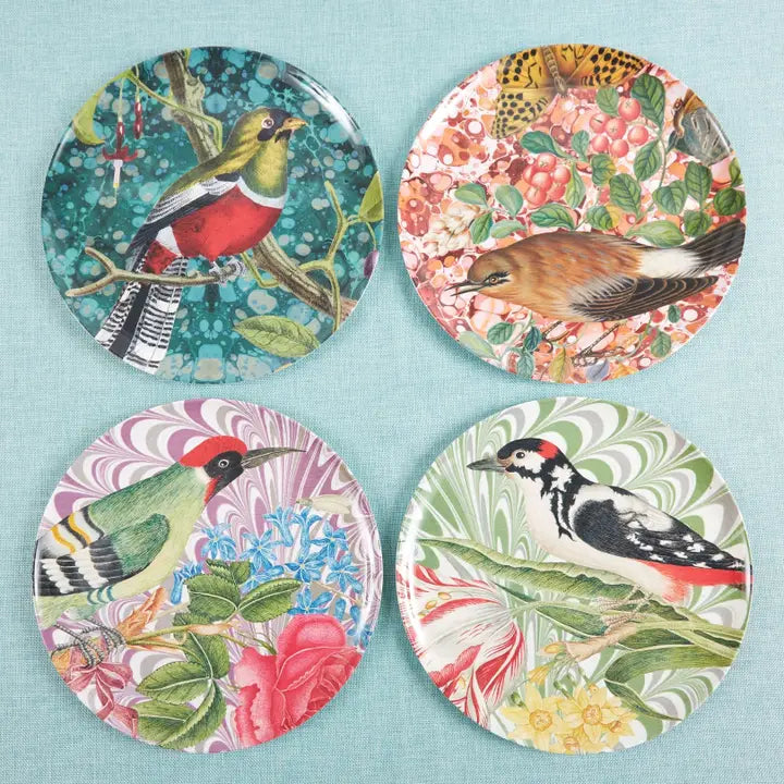 Flora and Fauna Bird Studies Dinner Plates set of 4