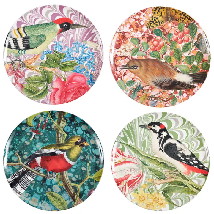 Flora and Fauna Bird Studies Dinner Plates set of 4