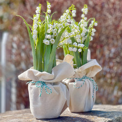 Faux Lily of the Valley Drop In Floral Pot