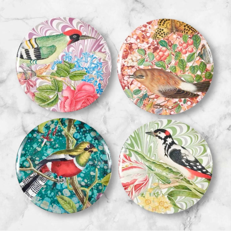 Flora and Fauna Bird Studies Dinner Plates set of 4