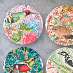 set of four colorful melamine dinner plates with bird motifs