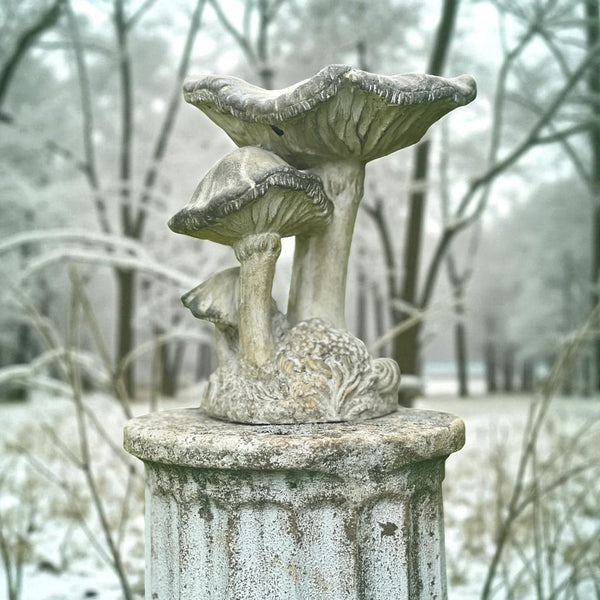 Concrete Mushroom Trio Speciman
