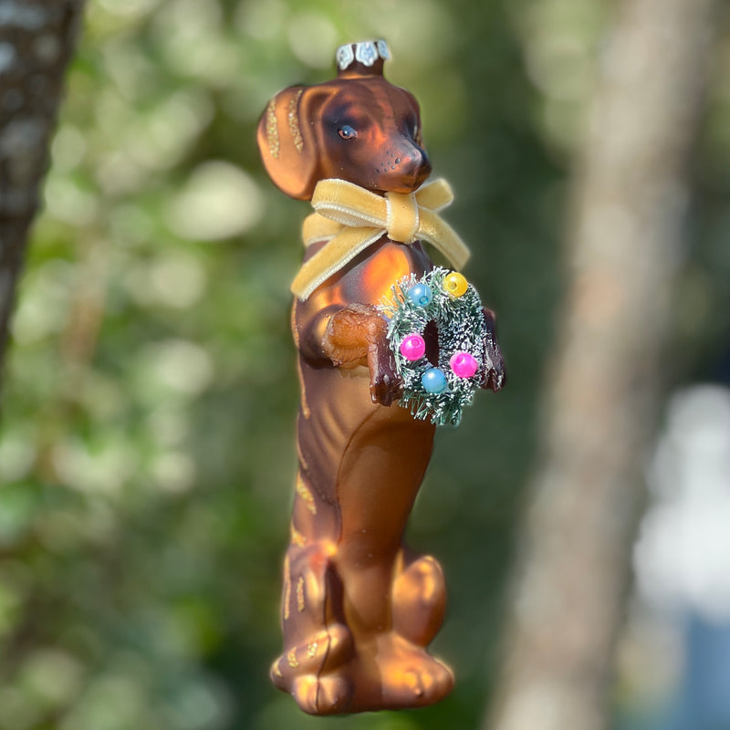 Handsome Glass Doxie Ornament by Cody Foster
