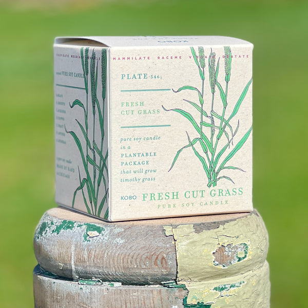 Fresh Cut Grass pure soy candle in plantable box by Kobo