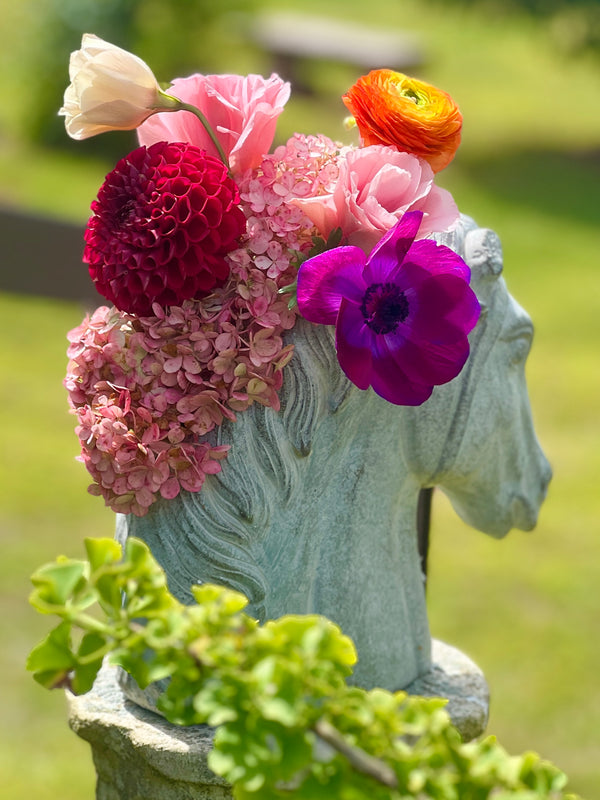 Sculptural Cement Horse Head Planter