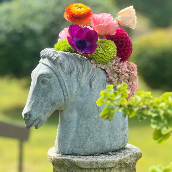 Sculptural Cement Horse Head Planter
