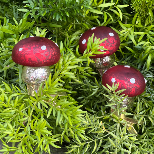 Bright and Shiny Mini Mushroom Clip Ornament Trio